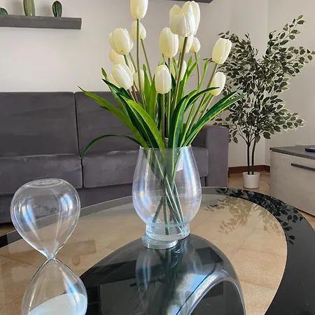 Il Tulipano צ'יוויטווקיה